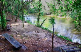 Margem do Rio Jacaré Pepira